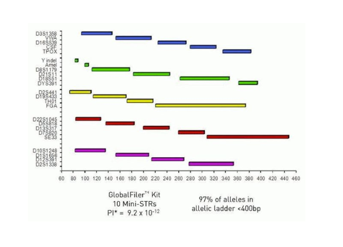 Applied Biosystems™ GlobalFiler™ PCR Amplification Kit