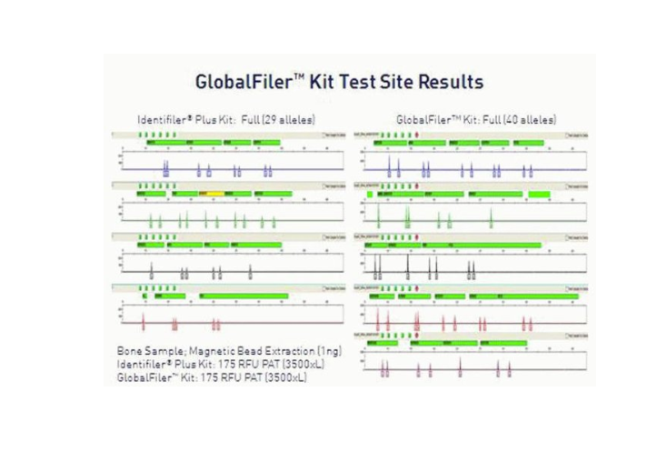 Applied Biosystems™ GlobalFiler™ PCR Amplification Kit
