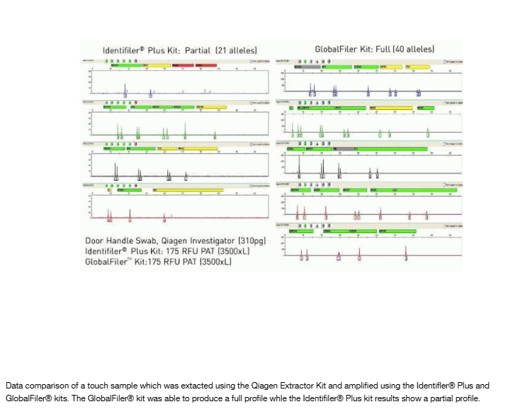 Applied Biosystems™ GlobalFiler™ PCR Amplification Kit