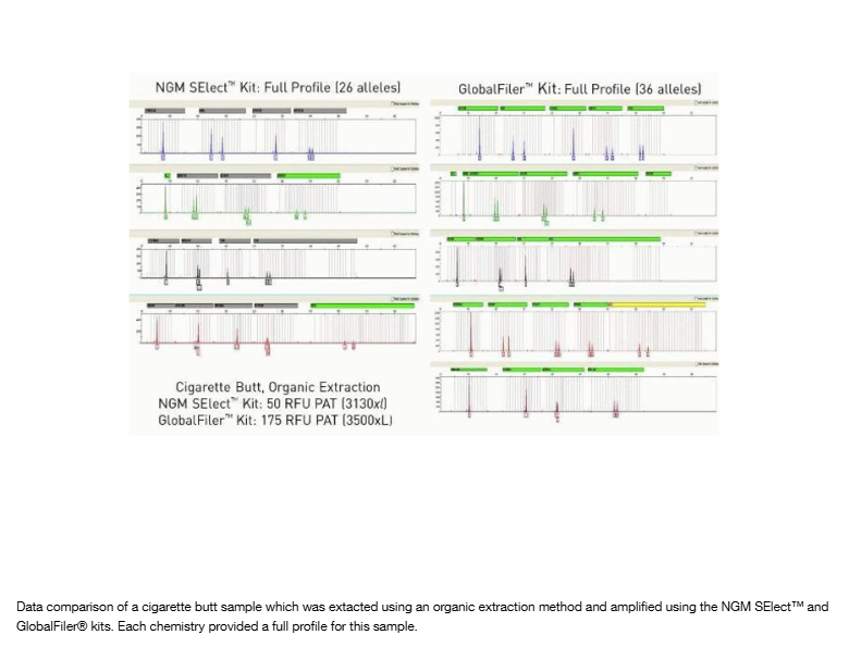 Applied Biosystems™ GlobalFiler™ PCR Amplification Kit