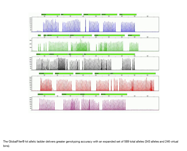 Applied Biosystems™ GlobalFiler™ PCR Amplification Kit