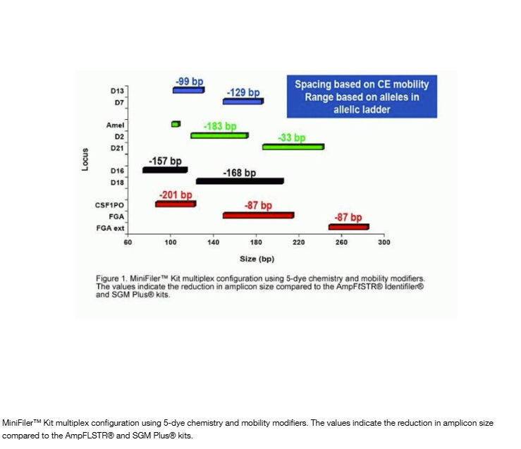 Applied Biosystems™ AmpFLSTR™ MiniFiler™ PCR Amplification Kit, 100 Rxn