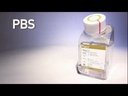 Gibco™ Pbs, Ph 7.4