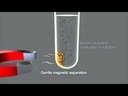 Invitrogen™ DynaMag™-96 Side Magnet