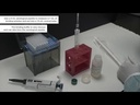 Applied Biosystems™ MagMAX™ Prime Viral/Pathogen NA Isolation Kit