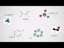 Applied Biosystems™ High-Capacity cDNA Reverse Transcription Kit