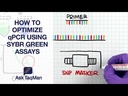 Applied Biosystems™
PowerTrack™ SYBR Green Master Mix for qPCR