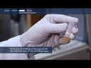 Invitrogen™ PureLink™ Microbiome DNA Purification Kit, 50 Preps