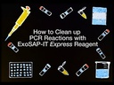 Applied Biosystems™ ExoSAP-IT™ Express PCR Product Cleanup
