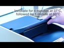Applied Biosystems™ ExoSAP-IT™ Express PCR Product Cleanup