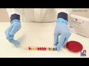 Liofilchem™ EnteroPluri-Test System for Enterobacteriaceae Identification