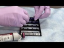 Applied Biosystems™ QuantStudio™ Absolute Q™ Digital PCR System, desktop