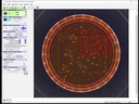 BIOMIC® V3 