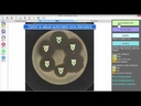 BIOMIC® V3 Testing Module
