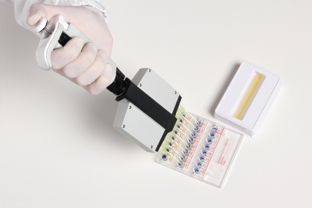Liofilchem® SensiTest Gram-negative