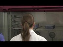 IDEXX Colilert-18 Test