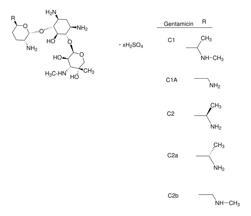 Gibco™ Gentamicin (10 mg/mL)