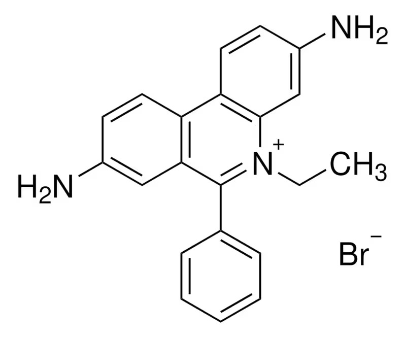 Sigma-Aldrich Ethidium bromide solution