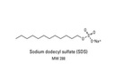 Thermo Scientific™ Pierce™ Sodium Dodecyl Sulfate (SDS), Lauryl