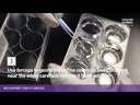 Invitrogen™ Fluoromount-G™ Mounting Medium