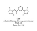 Thermo Scientific™ MBS (m-maleimidobenzoyl-N-hydroxysuccinimide ester)