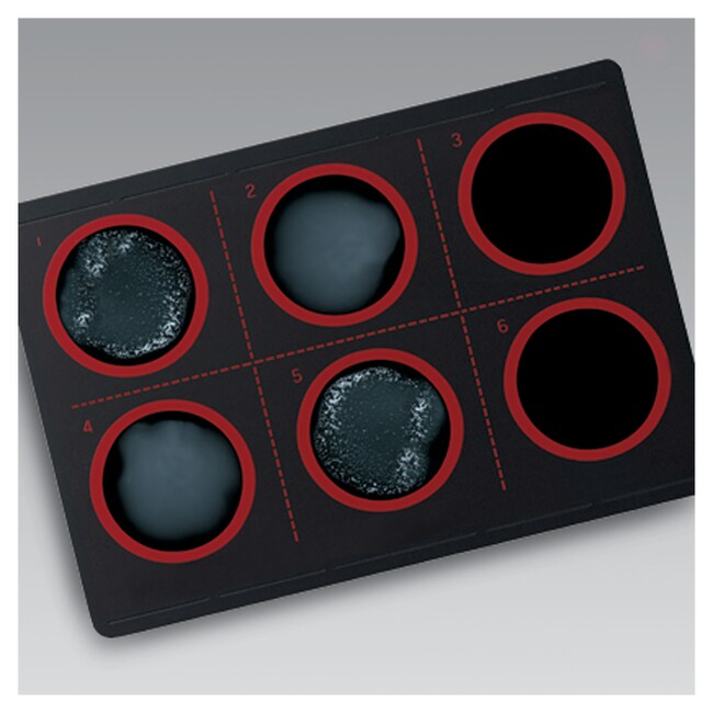 Thermo Scientific™ Staphaurex™ Latex Agglutination Test