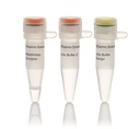 Thermo Scientific™ Eco130I (StyI) (10 U/μL)