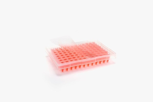 [TS2-100] ThermalSeal® Polyester Sealing Film for PCR, Non Sterile