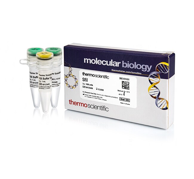 Thermo Scientific™ Hin1II (NlaIII) (5 U/µL), 300 reactions