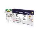 Thermo Scientific™ Hin1II (NlaIII) (5 U/µL), 300 reactions