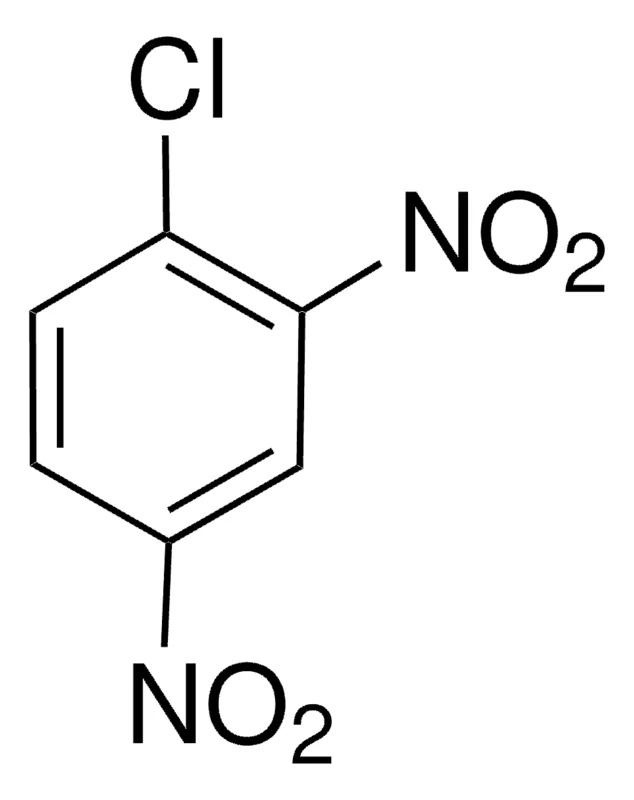 Thermo Scientific™ 1-Chloro-2,4-dinitrobenzene ≥98%