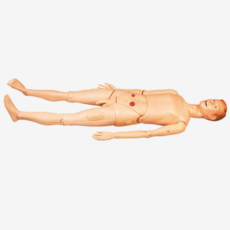 [GD/H120A] General Doctor Advanced Nursing Manikin (Male)