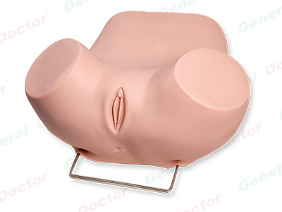 Gynecological Pelvis Examination Simulator