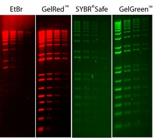 GelGreen™ Nucleic Acid Gel Stain