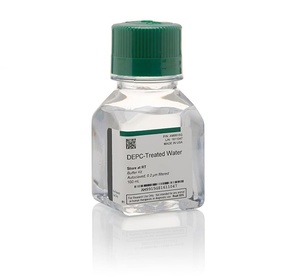 Thermo Scientific™ Invitrogen™ DEPC-Treated Water