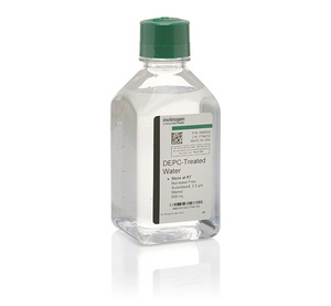 Thermo Scientific™ Invitrogen™ DEPC-Treated Water