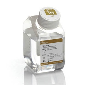 Gibco™ Pbs, Ph 7.4, 500 Ml
