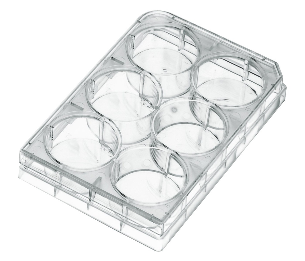 Biologix Multi Well Cell Culture plate, Sterile, TC Treated, Flat bottom with Lid