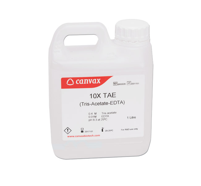 Canvax TAE Buffer (10x) (pH 8.3)