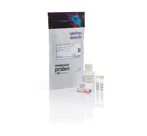 [Q32851] Invitrogen™ Qubit™ dsDNA High Sensitivity (HS) Assay Kit (100 assays)