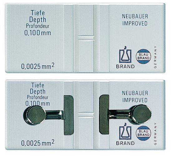 Brand™ BLAUBRAND® Fuchs-Rosenthal Counting Chamber with clips, double ruled