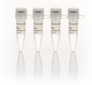 Thermo Scientific™ Water, nuclease-free