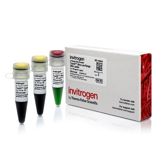 [10488023] Invitrogen™ TrackIt™ Ultra Low Range DNA Ladder, 50 µg for 100 Applications