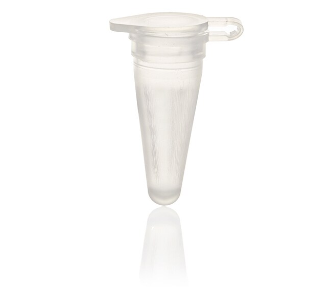 Applied Biosystems™ MicroAmp™ Fast Reaction Tube with Cap, 0.1 mL