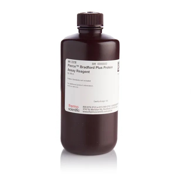 Thermo Scientific™ Bradford's reagent, ready-to-use