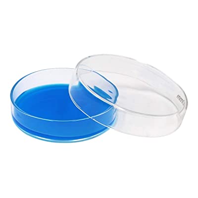 [1177-100] Borosilicate 3.3 Glass Petri Dish With lid (Ø: 100 x 20mm)