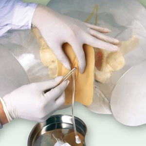 GD Transparent Catheterization Simulator Model