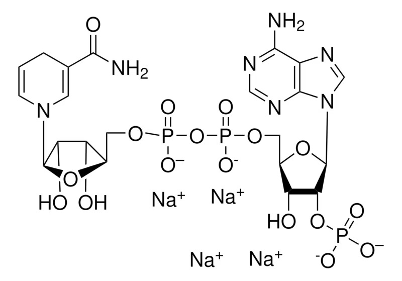 Thermo Scientific™ ß-Nicotinamide adenine dinucleotide phosphate tetrasodium salt hydrate (NADPH-Na4 hydrate, reduced form) 96%, Extra Pure