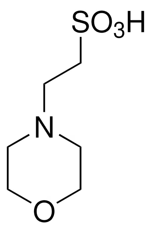 Apollo Sci. β-(N-Morpholino)ethanesulphonic acid (MES) ≥99.5%, Ultrapure