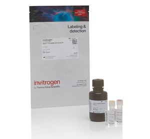 Thermo Scientific™ Invitrogen™ Qubit™ 1X dsDNA High Sensitivity (HS) Assay Kits